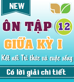 Ôn tập Giữa kỳ I (KNTT_HH12_B1)